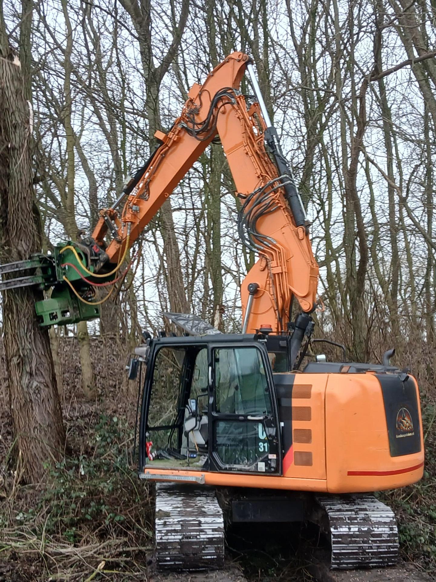 Machinaal Vellen van boom